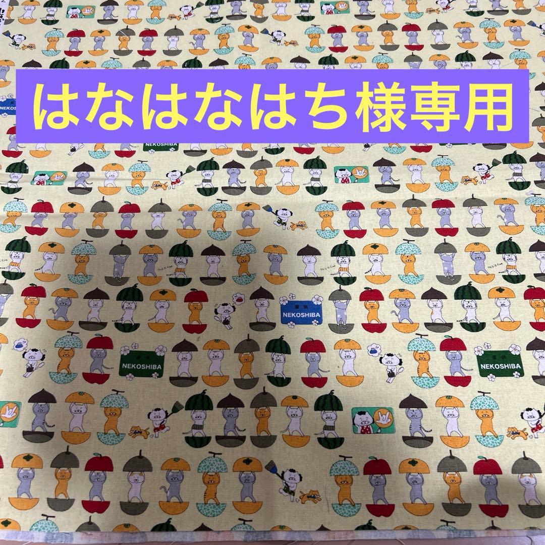 はなはなはち mqdefault.jpg