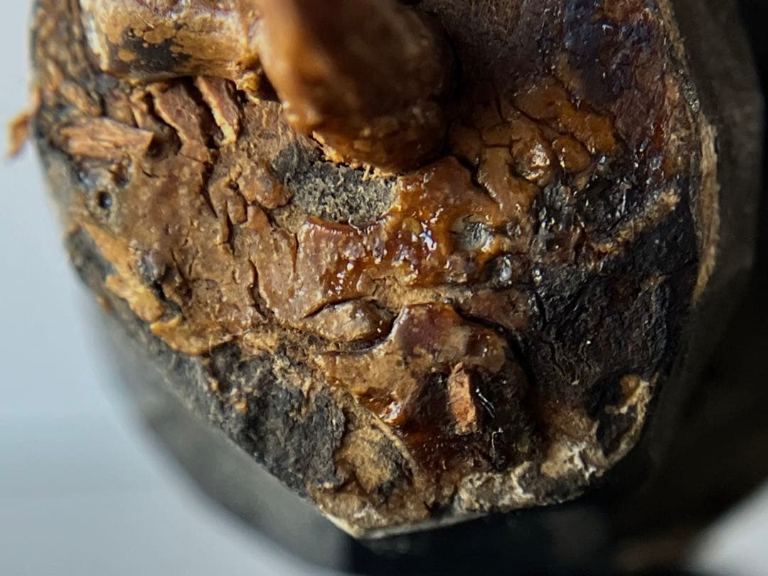 祈りの木彫仏頭 江戸期頃 約4㎝ 台座付き】残欠古美術骨董歴史資料仏像