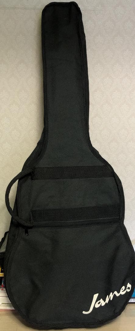 Tony Smith セミアコ 傷あり ソフトケース付属 動作未確認 Tony Smith