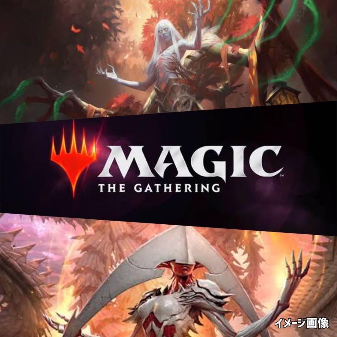 MTG未開封BOX《ホームランドLANDS》激レア廃盤絶版1BOX