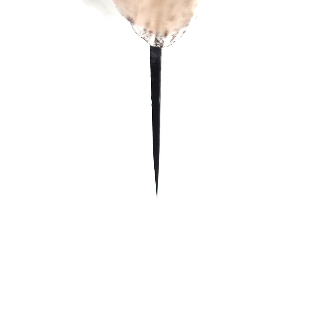 白紙1号 黒打 三徳包丁 165㎜ G9391 栗柄 月光作 1点物 - メルカリ