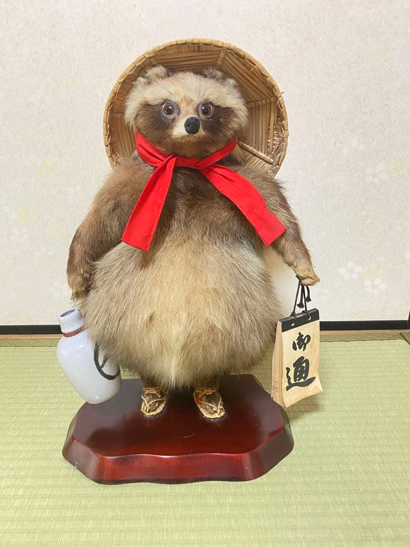 たぬき 剥製 狸 置物 - メルカリ