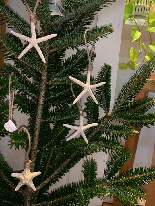 貝殻　クリスマス　オーナメント　ガーランド　飾り　南国　オシャレ　もみの木 リース シェル クラムシェル スターフィッシュ 貝殻 オーナメント