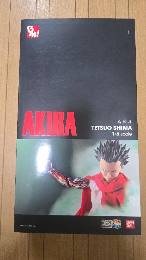 AKIRA 島鉄男　 1/6スケール 美品】アキラ AKIRA 島鉄雄 1/6スケール PROJECT BM フィギュア｜Yahoo
