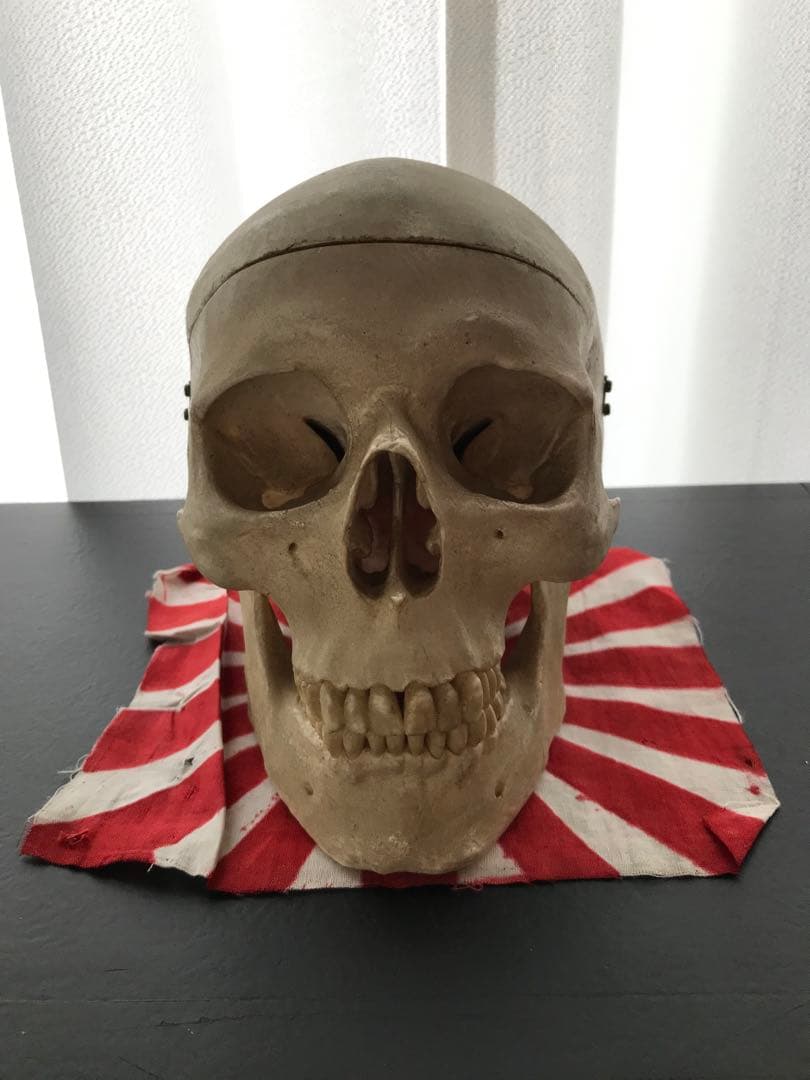 頭骨 人体模型 ドイツ 髑髏 ドクロ 置物 オブジェ アートvintage 光る LED メタリックドクロ はにかむ BE-SHY METALLIC SKULL オブジェ
