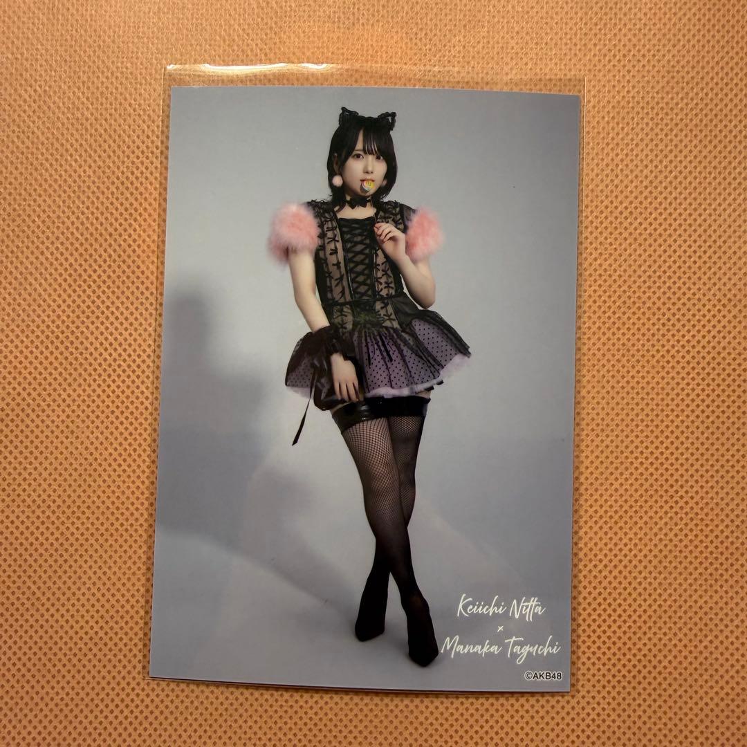AKB48 田口愛佳 ランダム生写真 大衣装展 シャムネコ - メルカリ