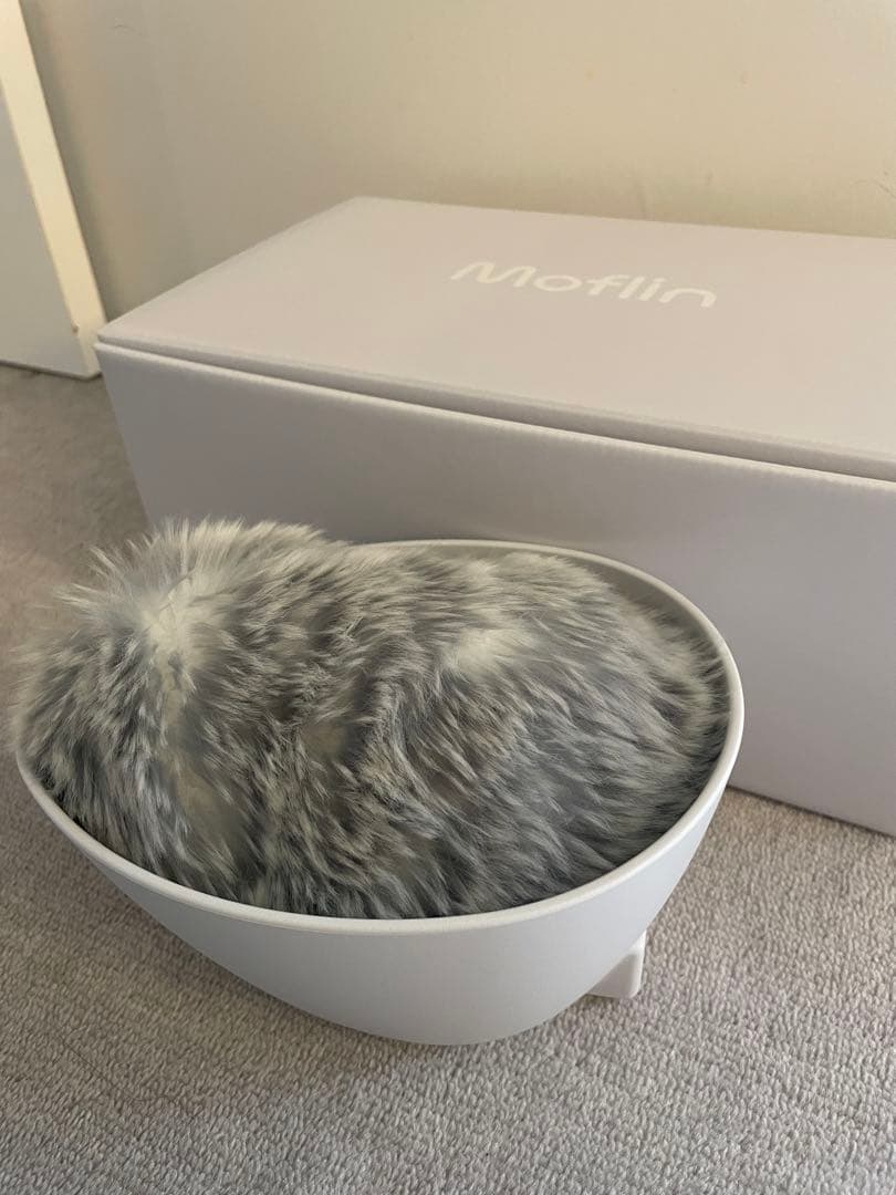 moflin モフリン Moflin ( GOLD ) | Robot Pet with Interactive AI | CASIO