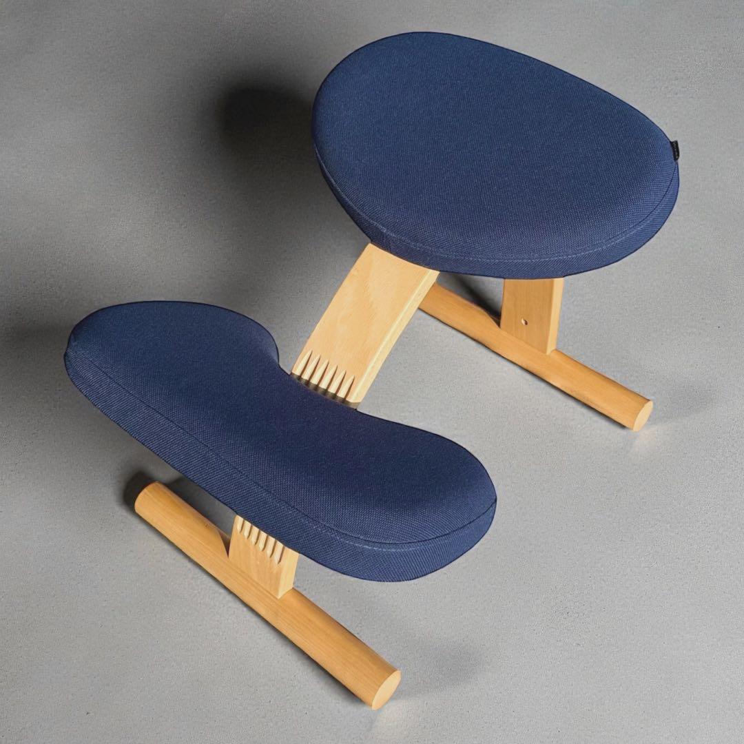 HR848 サカモトハウス　balans Easy 日本製　ネイビー Amazon.co.jp: Balance Chair Easy Navy Balance Lab (Formerly