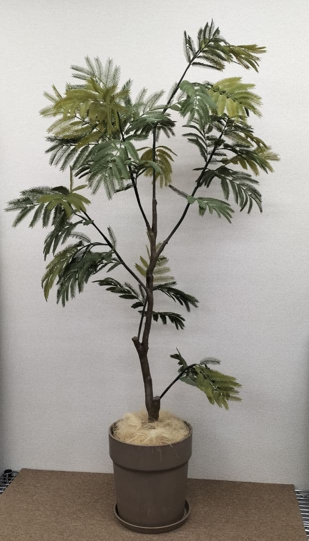 人工観葉植物 インテリア エバーフレッシュ 展示品(O-2601FB15) 人工観葉植物 インテリア エバーフレッシュ 展示品(O-2601FB15) 人工