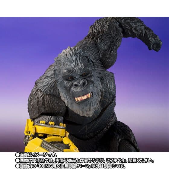特撮 S.H.MonsterArts SHIMO