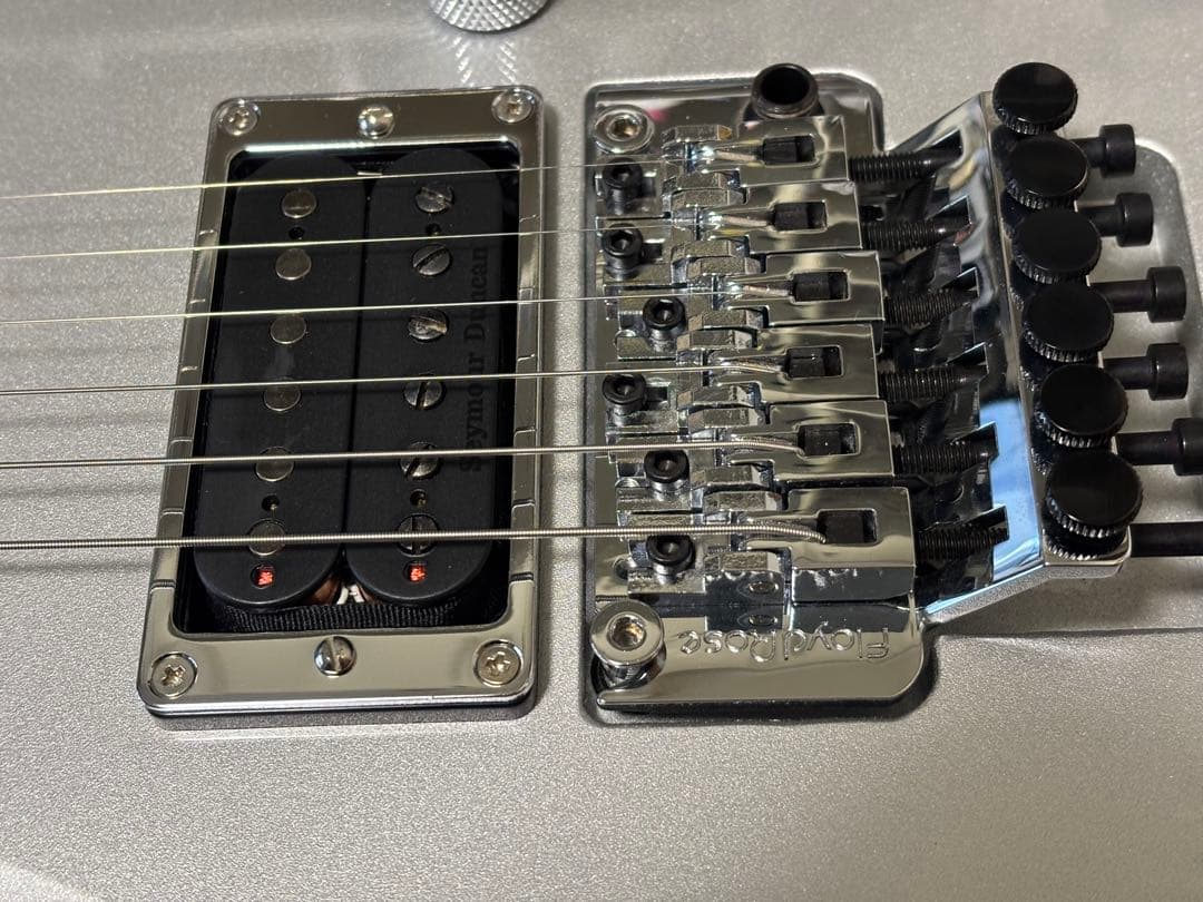 超美品】ESP FOREST-GT Custom Color Silver - メルカリ