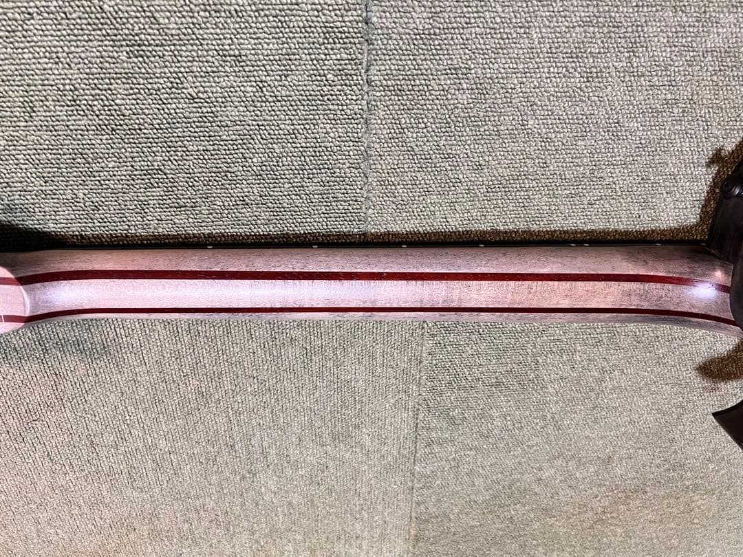 A6M5_zeke 様専用」SCHECTER Solo-II FR - メルカリ