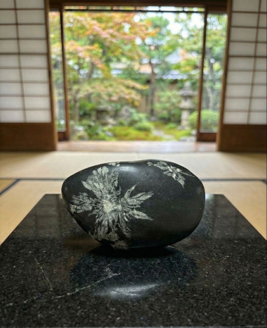 菊花石】386g 鑑賞石 天然石 置物 和風インテリア 自然石 - メルカリ
