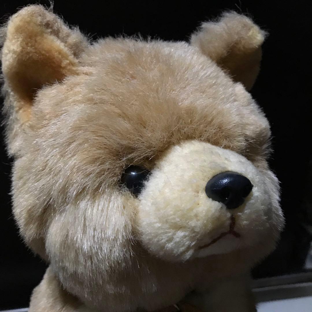 ぬいぐるみ 犬 いぬ 日本犬 光 ひかる ファースト社 レトロ❣️ - メルカリ