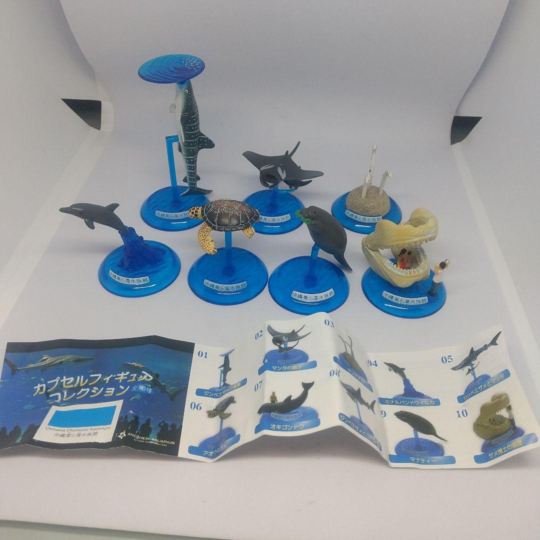 沖縄 美ら海水族館 カプセルフィギュア コレクション - メルカリ