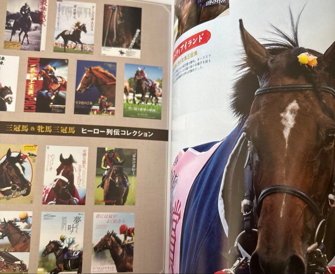 優駿特別版 京都競馬場開設100周年記念 100周年袋付き - メルカリ