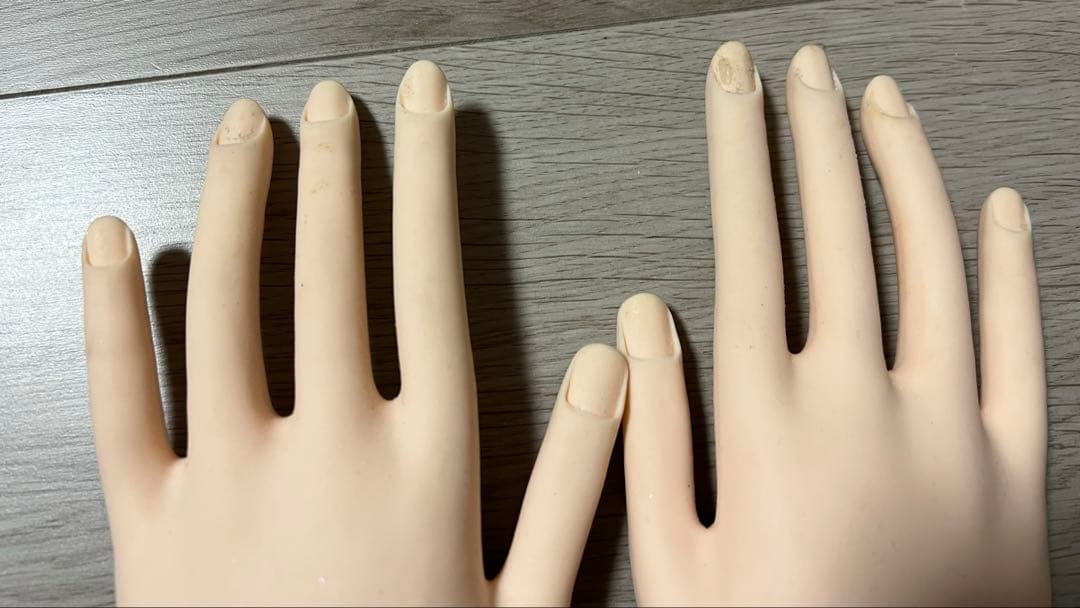 JNEC 認定モデルハンド(骨折なし) STモデルハンド セット | Nail Labo Online Shop ネイルラボ