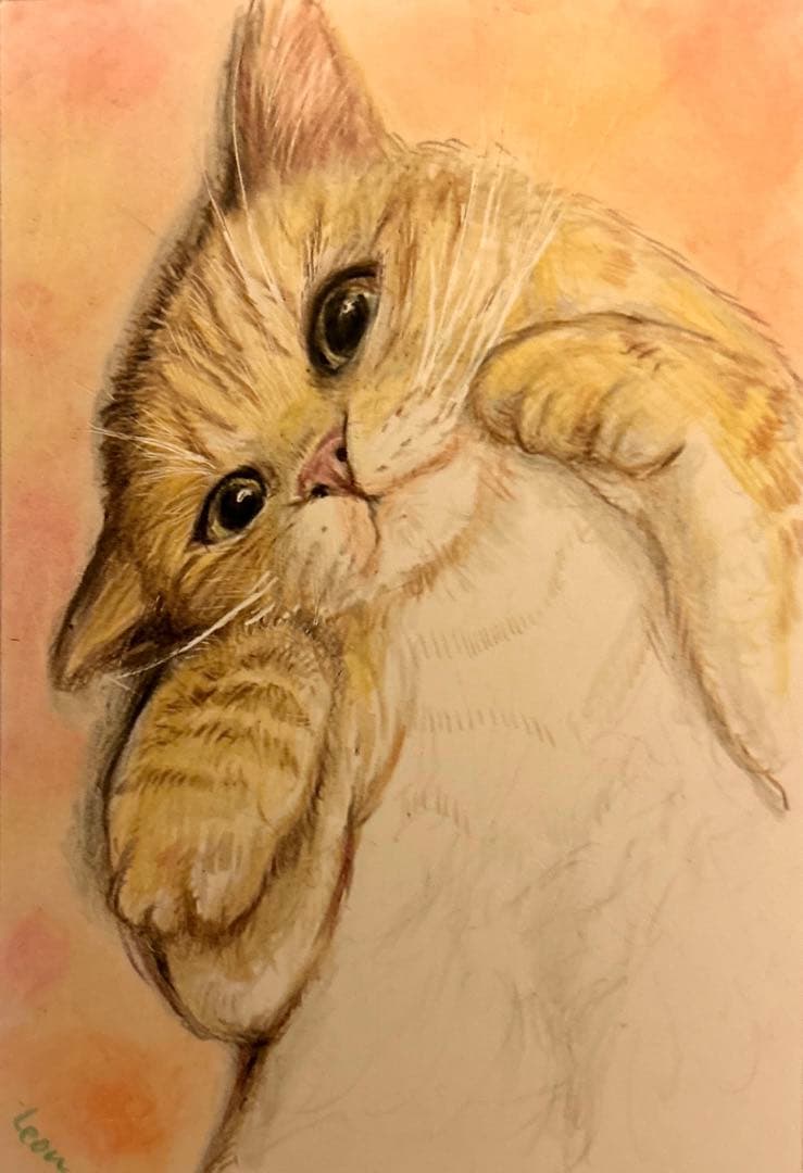 猫 絵画 子猫 イラスト 水彩色鉛筆 油彩色鉛筆 原画 ごろにゃん 茶トラ