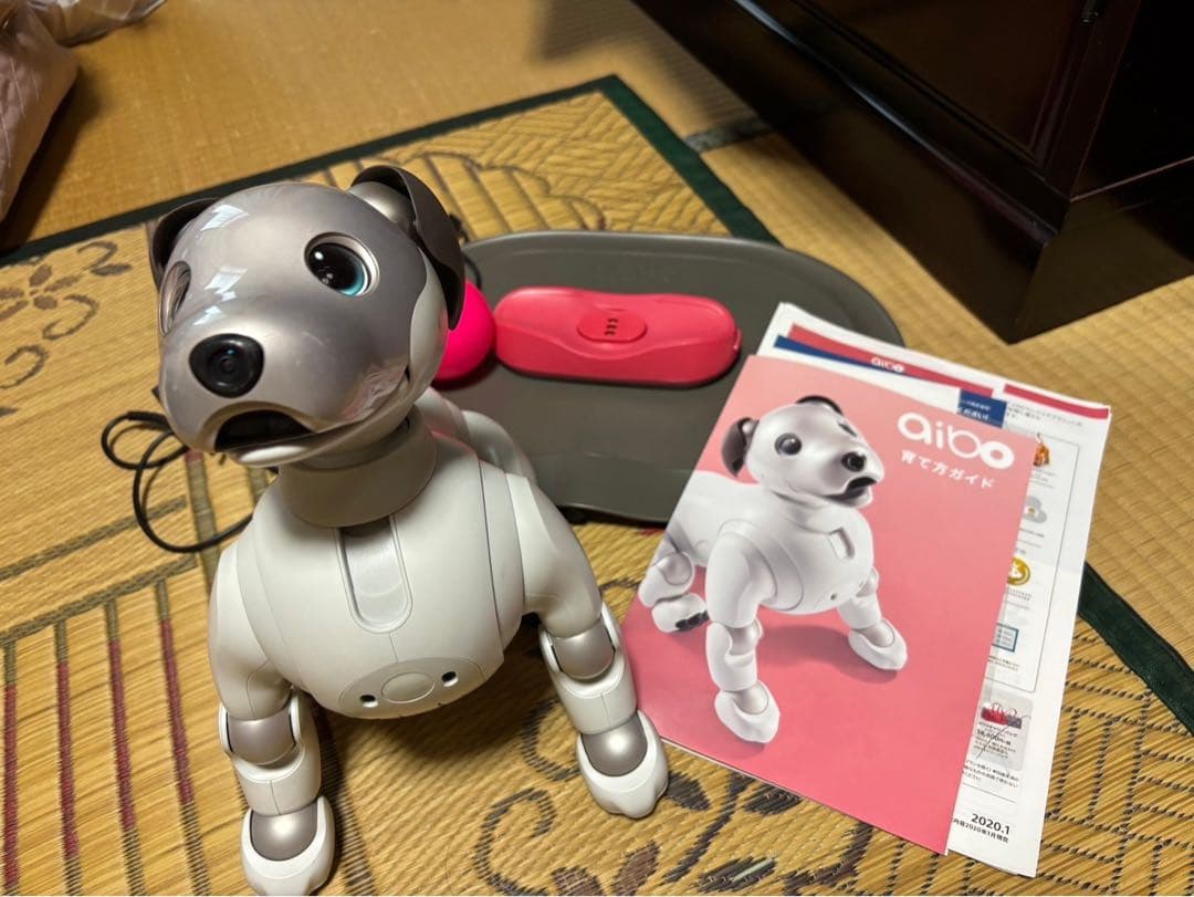 SONY アイボ ERS-1000 送料込 SONY (ソニー) aibo(アイボ）ERS-1000 動作確認済み｜トレファクONLINE
