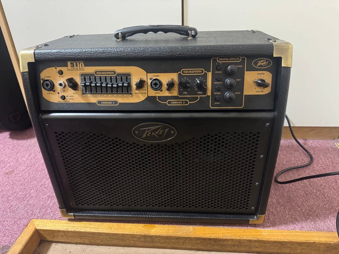 Peavey E110 アコースティックギターアンプ Peavey E110 Acoustic 1x10
