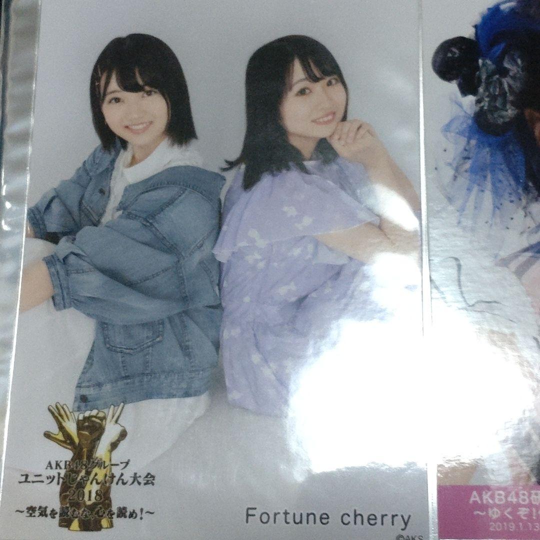 りさんさま