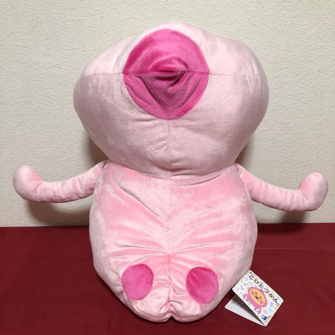 こびとづかん 寝そべりBIGぬいぐるみ (カクレモモジリ) - メルカリ