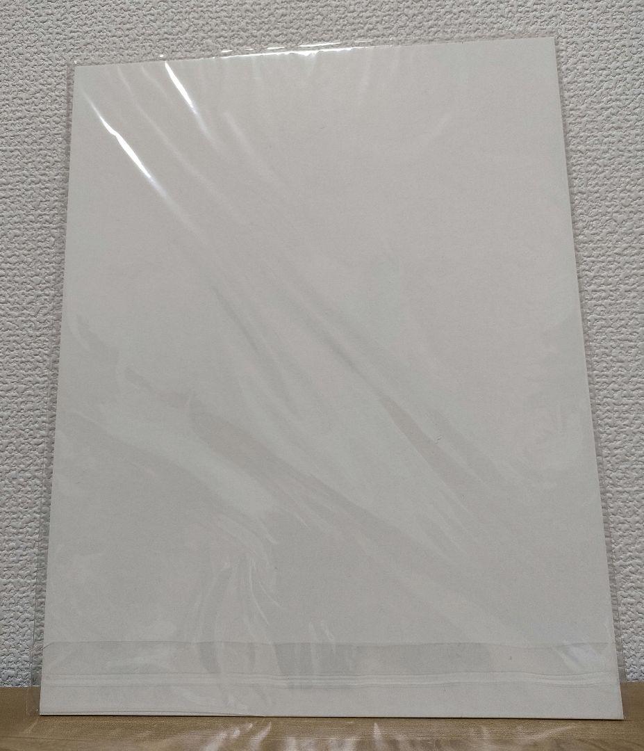 花井祐介 / 豊田弘治 アートポスター 未開封 GreenRoom Hawaii - 絵画