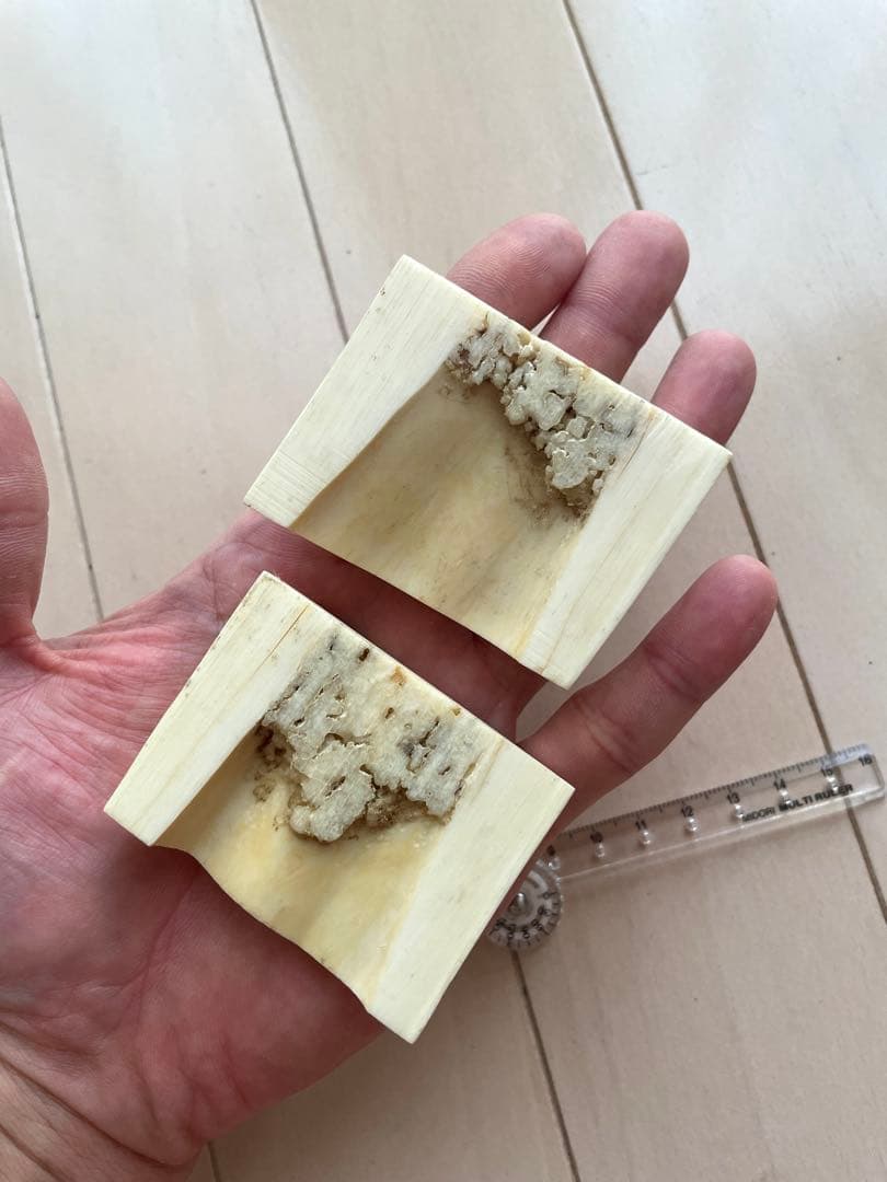 セイウチ牙　カット　抹香　マッコウ　イッカク　　　鯨歯　根付け　131.04g