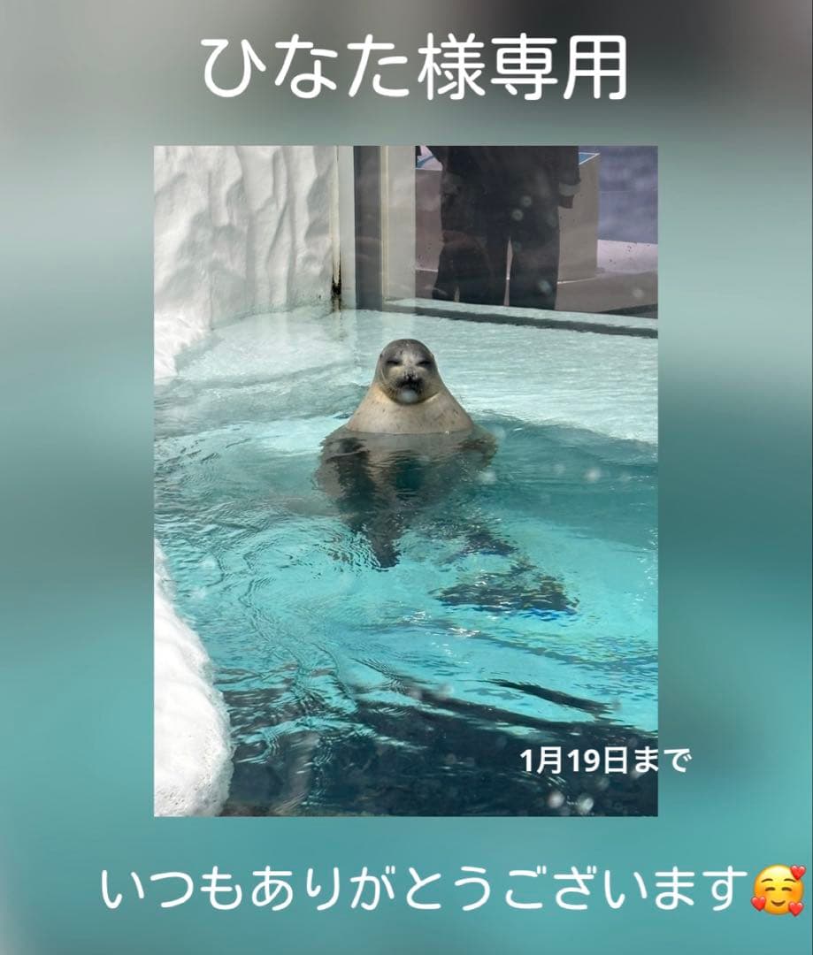 リピ様ひなた様専用レジンヘアゴムブローチ-割引注文