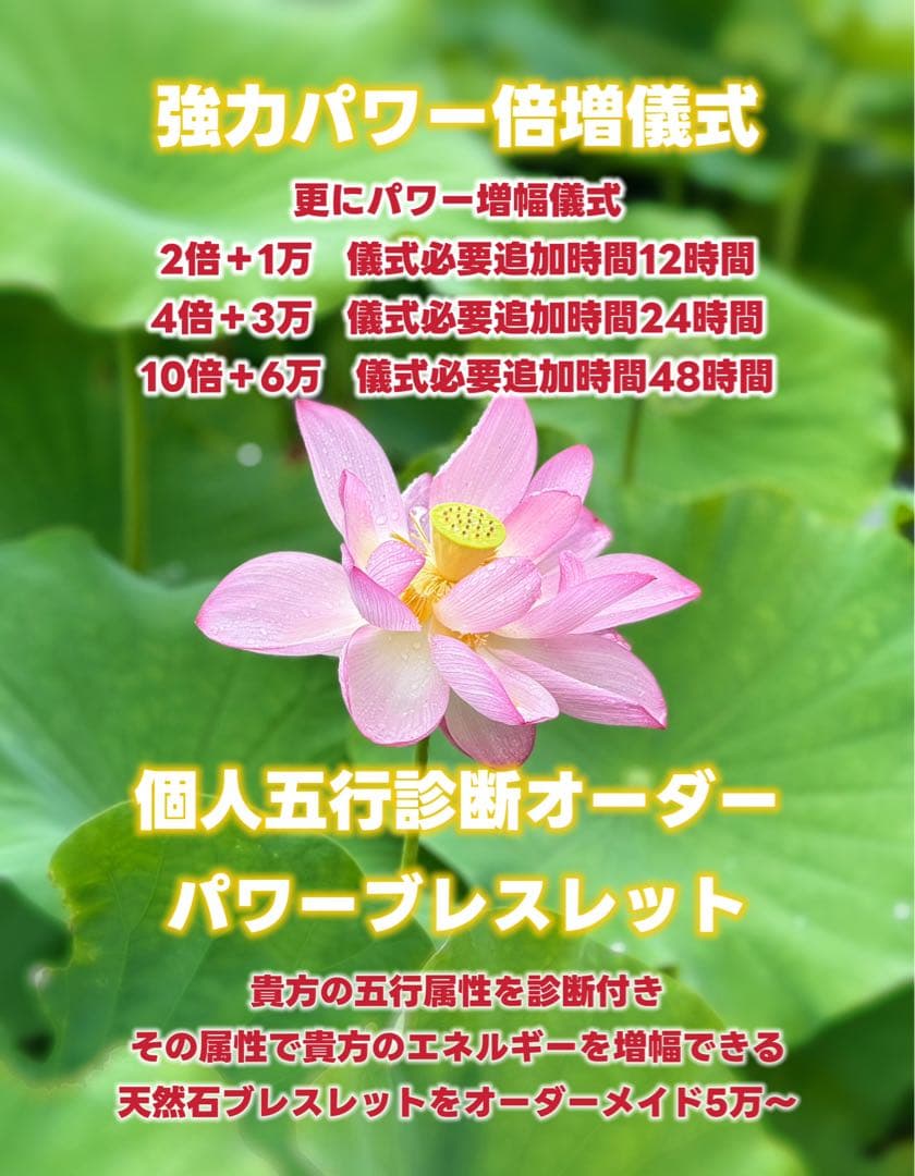 最高峰！復讐成就！やられたらやり返す 【超レア黒針水晶ブラックルチルクォーツ】