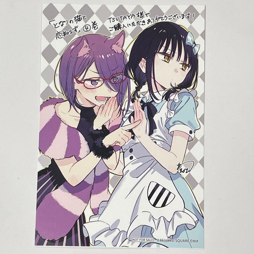 となりの猫と恋知らず 4巻 特典ポストカード 1枚 TSUTAYAイラスト