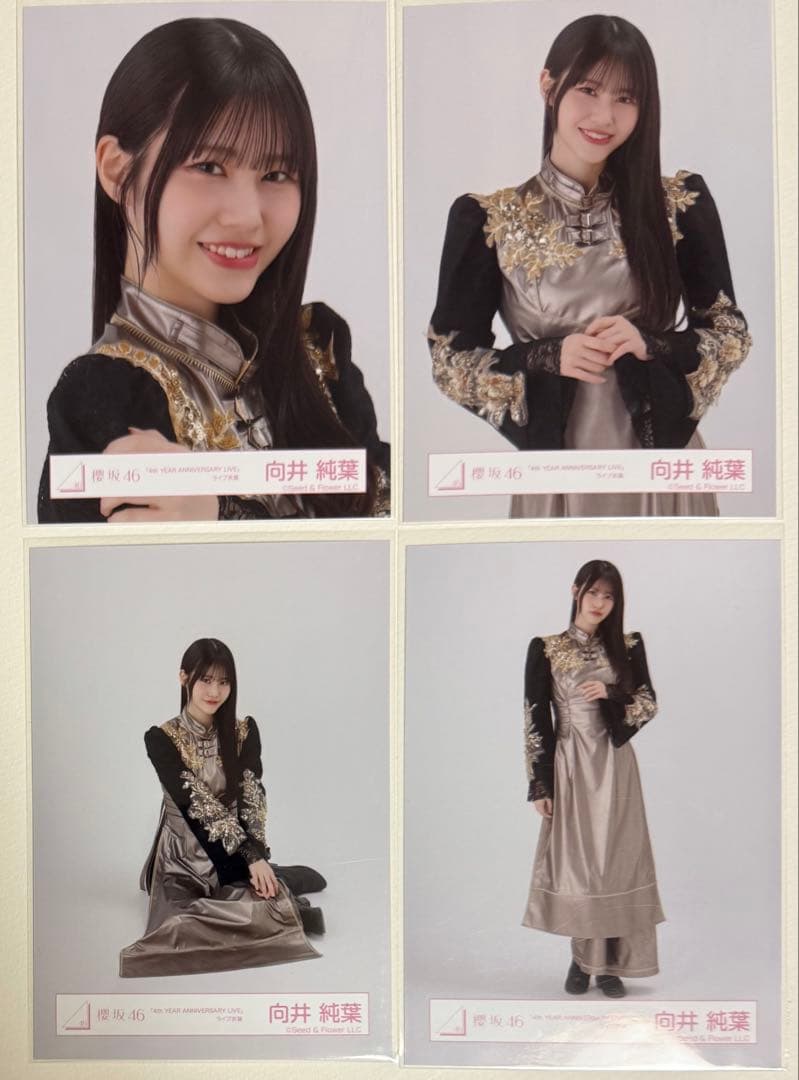櫻坂46 向井純葉 生写真4種コンプ 4thアニラ - メルカリ