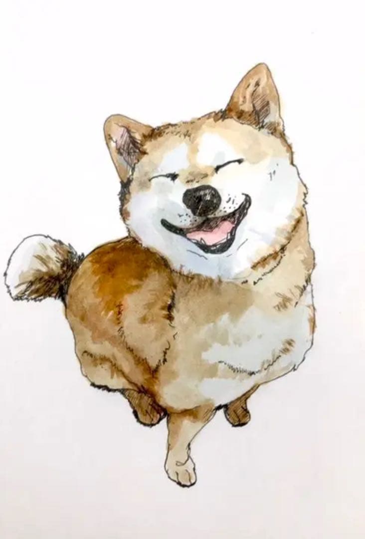 柴犬 犬 ドローイング 水彩画 ペン画 動物 インテリア 絵画 原画 イヌ
