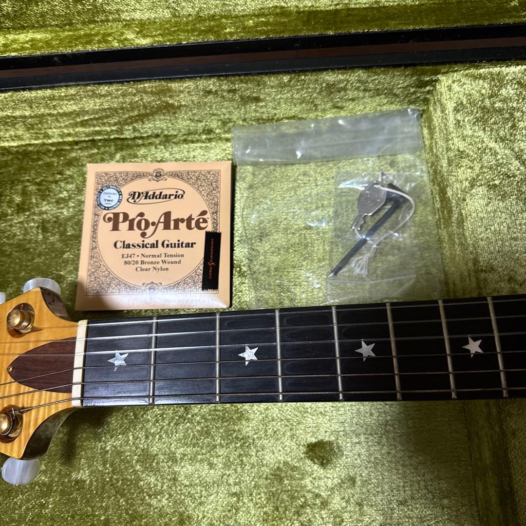 絶版】Guyatone EG-2100M三根信宏モデル ギター - メルカリ