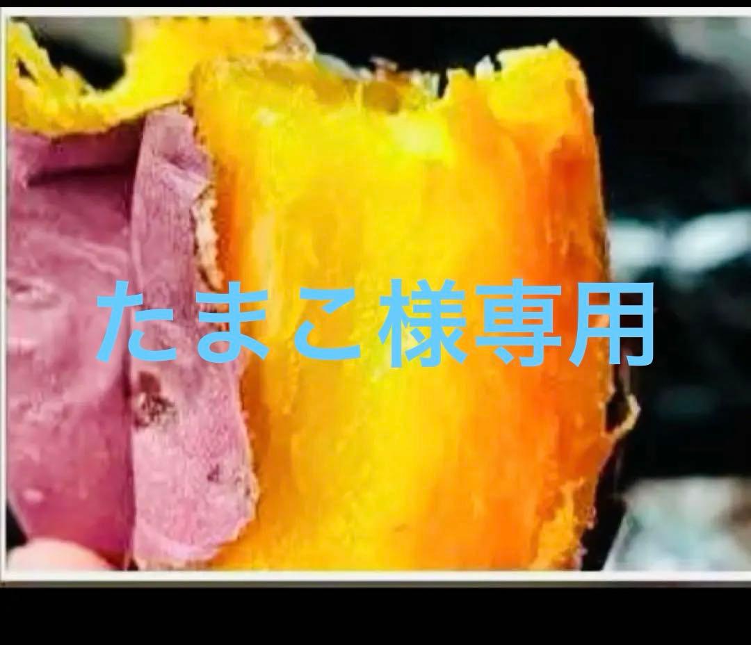 べにはるか苗1000本6月５日発送 予約】紅はるかの切り苗 1束30本【送料730円】【お届け日指定不可】