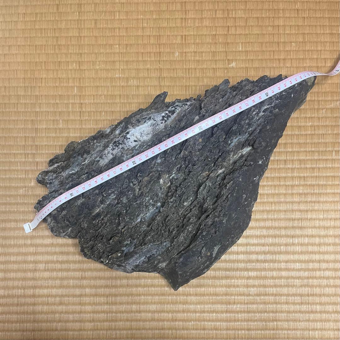 水石 鑑賞石 【八溝石 】特大 和風インテリア オブジェ アクアリウム