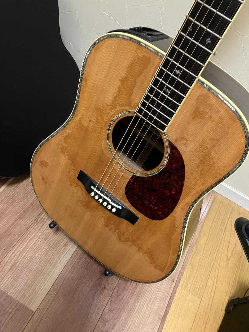 Takamine アコースティックギター ギグバッグ付 塗装浮きアリ - メルカリ
