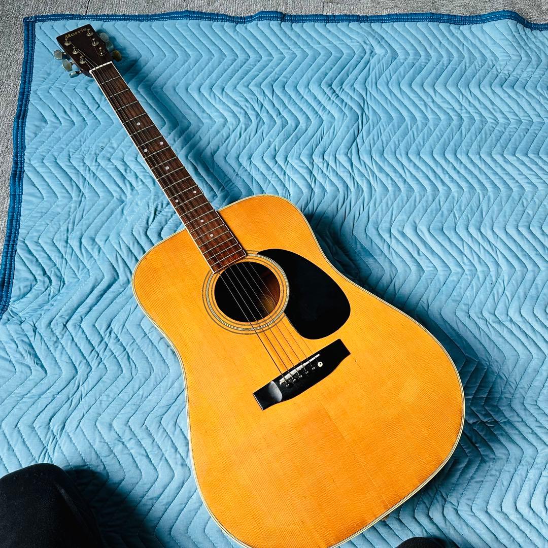 モーリス　morris アコースティックギター　W-20 MORRIS W-20 モーリス 【 そよら成田ニュータウン店 】 | 島村楽器