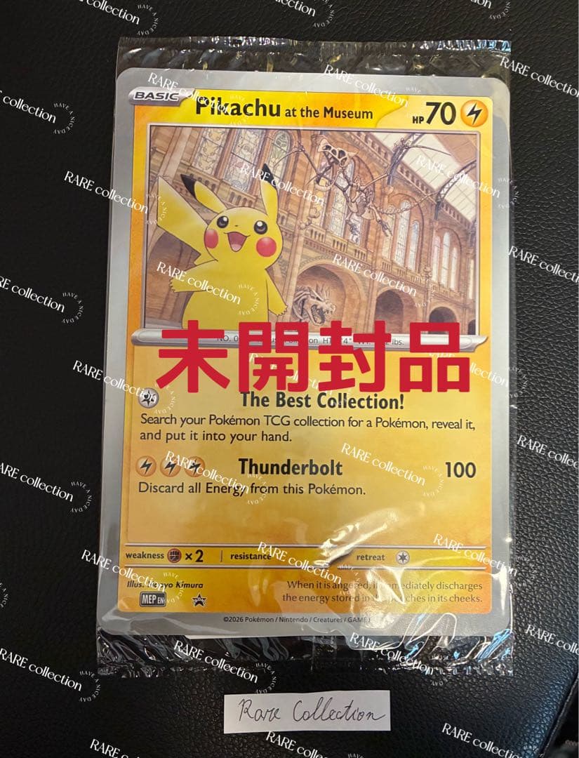 Pikachu at the Museum ピカチュウ ロンドン自然史博物館31 - メルカリ