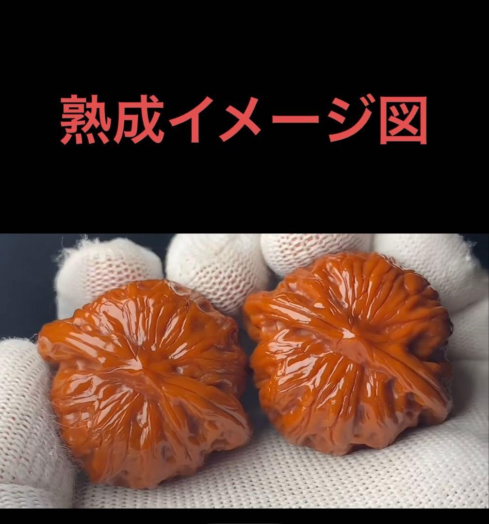 No.538 ❤️遊ぶクルミ 文玩核桃 高級小衆 战鼓 - メルカリ