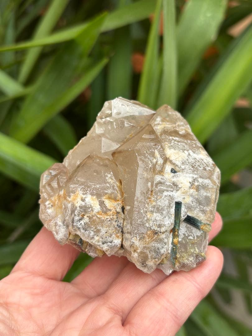 希少　ミナスジェライス州産　シトリン　ジャカレー水晶　トルマリン共生　313g 希少 ミナスジェライス州産 シトリン ジャカレー水晶 トルマリン共生