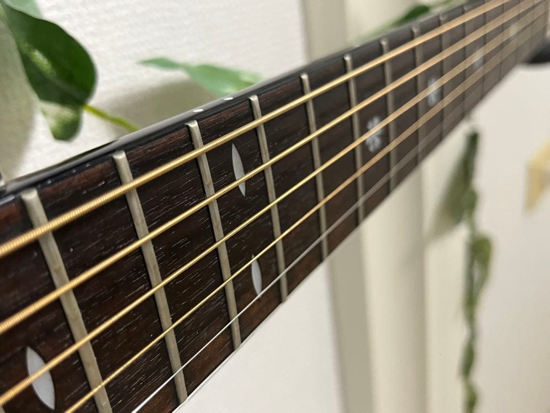 Morris モーリスTR701☆エレアコ オベーション タイプ Ovation｜