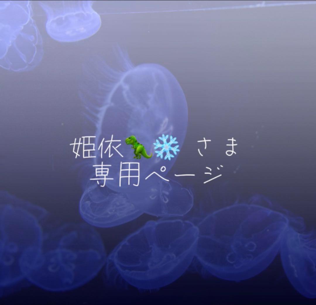 姫依ページ ブースターパック 異姫夢装編 神秘への道標 ｜ Z/X - Zillions of