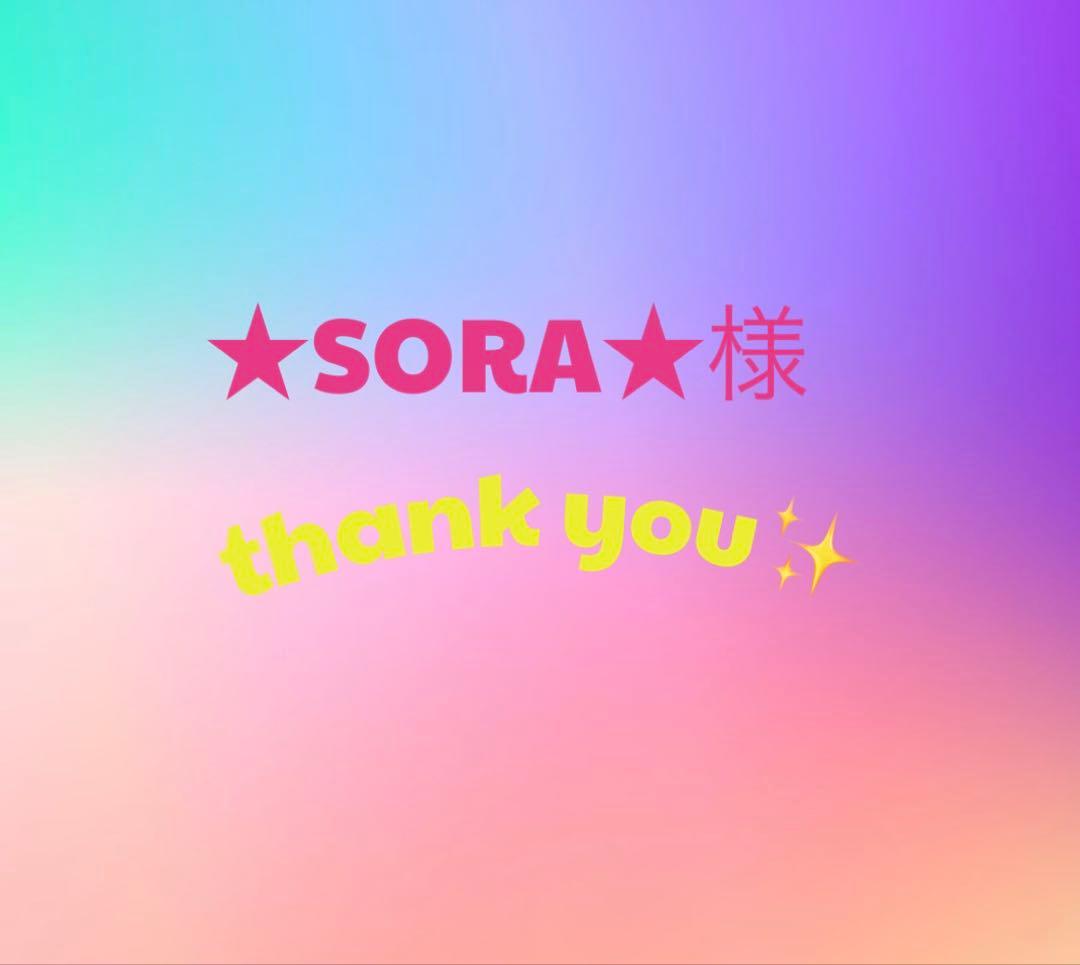 ★SORA★様　オーダーページ Vinsmoke Sora promo OP06-063 UC Promotion Pack Vol.7 One Piece