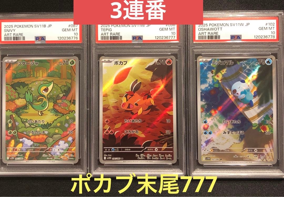 PSA10】ツタージャ ポカブ ミジュマル AR 連番 御三家 - メルカリ