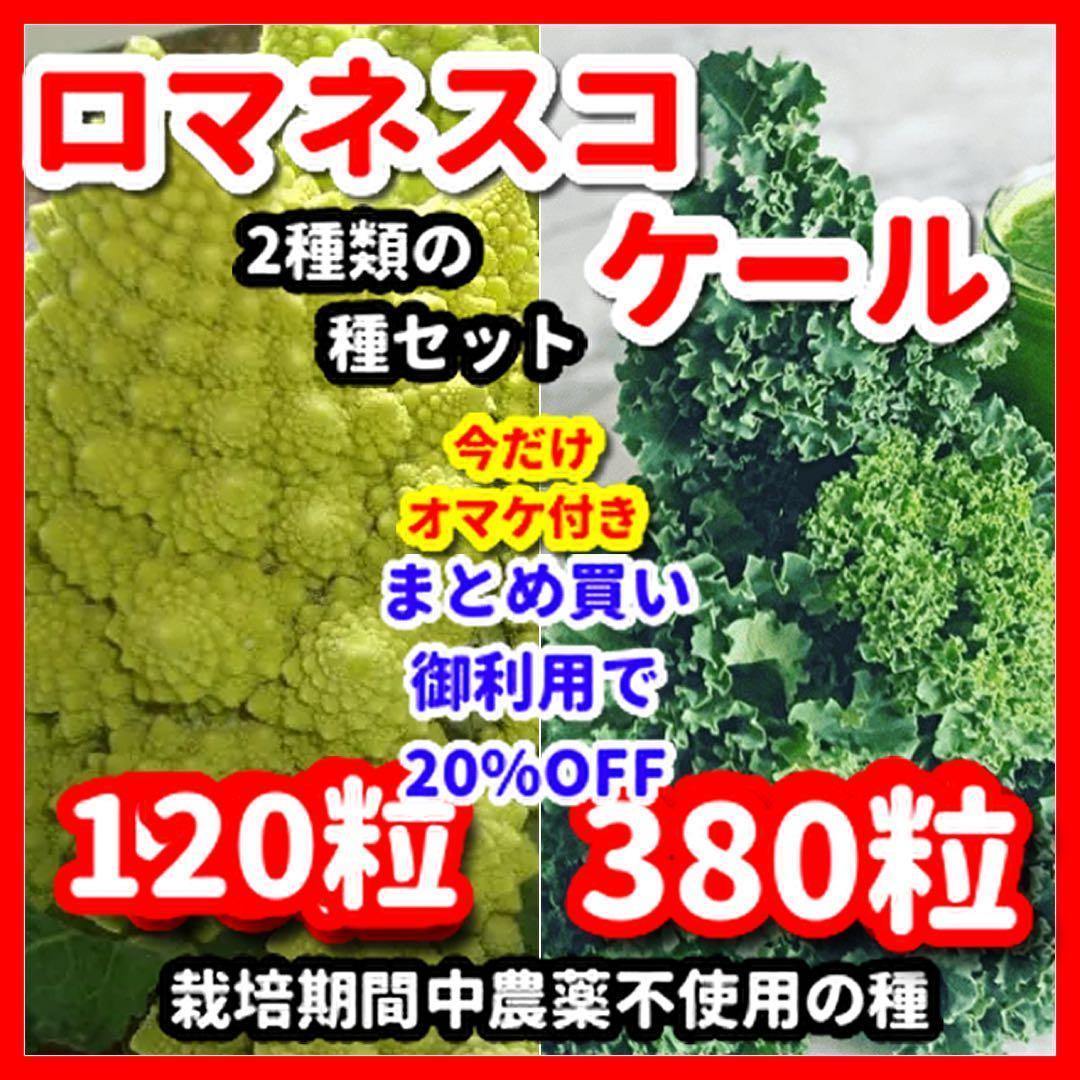 るーちゃん様 リクエスト 2点 まとめ商品 - メルカリ