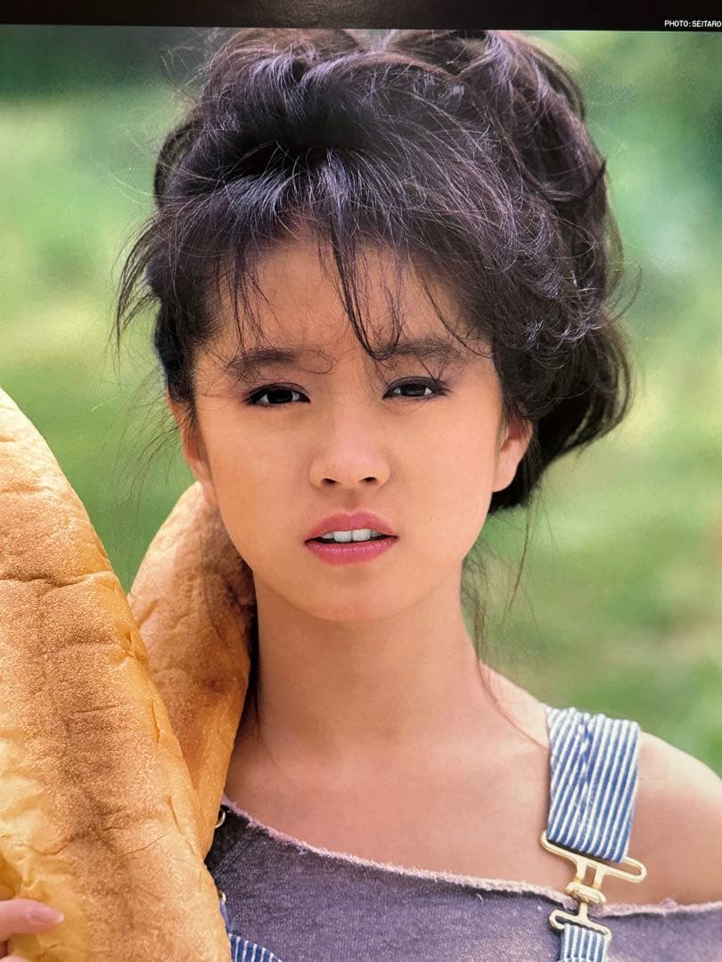 希少】中森明菜1985年カレンダーB2サイズ清水清太郎 ポスター昭和