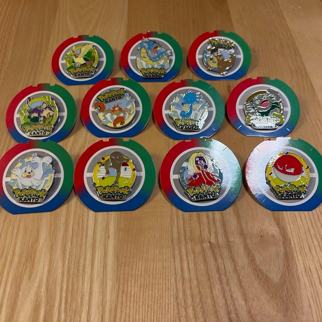 ポケパークカントー　ピンズまとめ売り ポケパーク カントー ハクリューピンズ限定品 - メルカリ