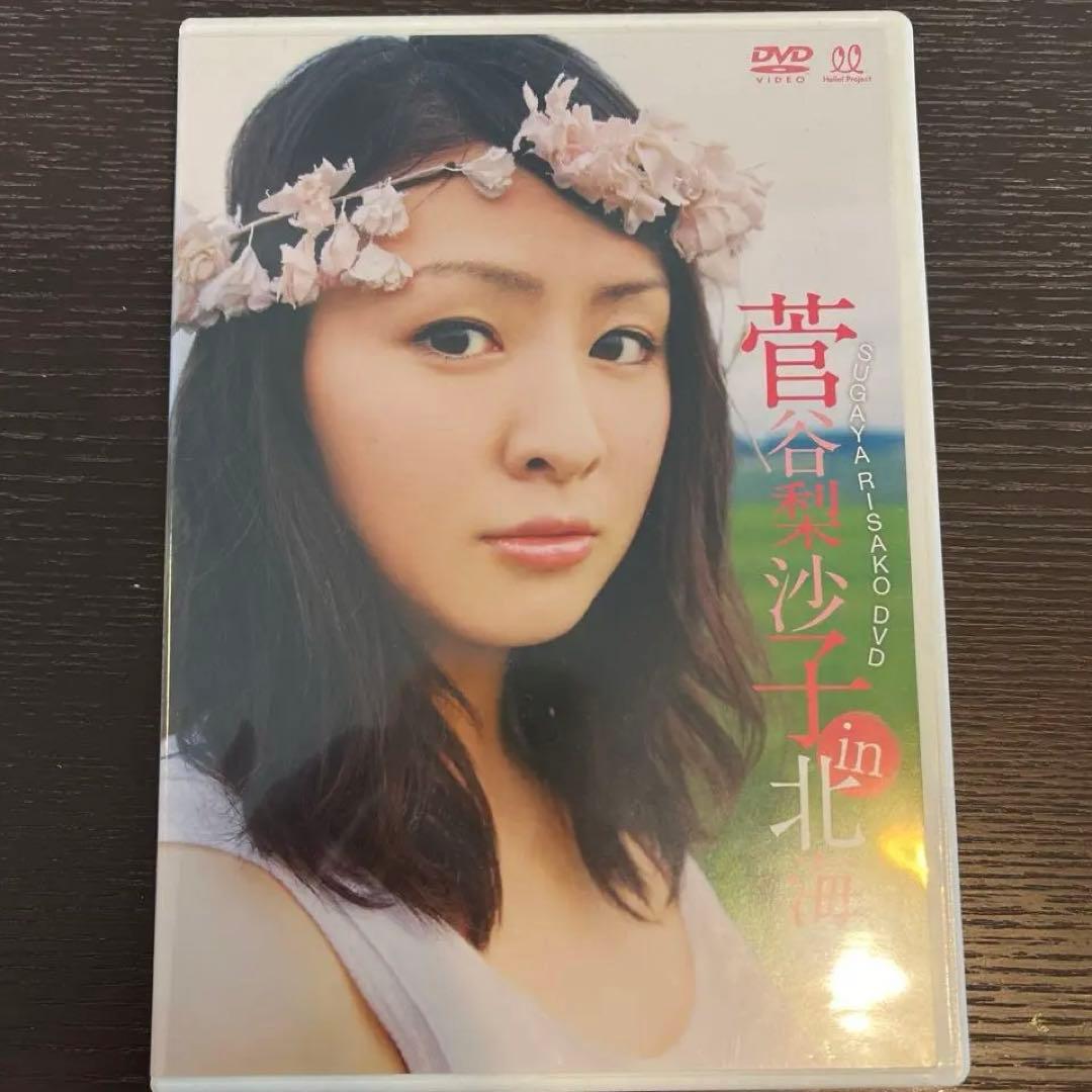 菅谷梨沙子(Berryz工房)/菅谷梨沙子 in 北海道 - メルカリ