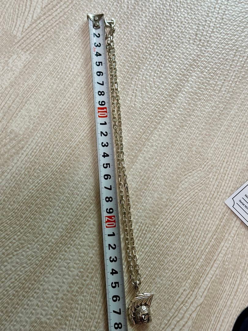 貴重！【長渕剛】イカイカペンダント FIRST ARROWSチェーン付き - メルカリ